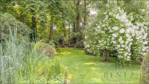 Einblick Waldgrundstück