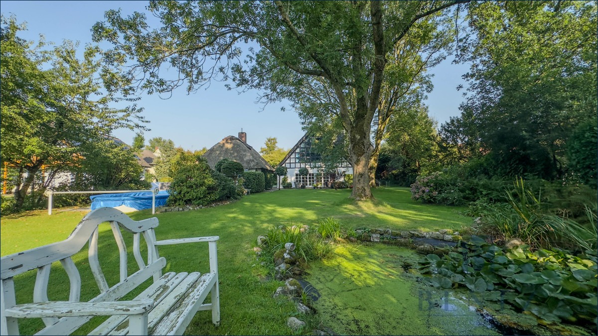 Teich mit Rückansicht