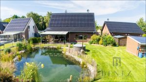 Gartenansicht mit Teich