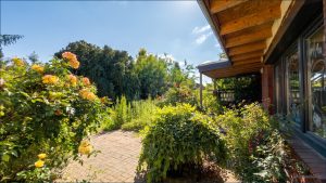 Garten und Terrasse