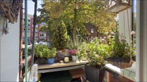 2. Balkon